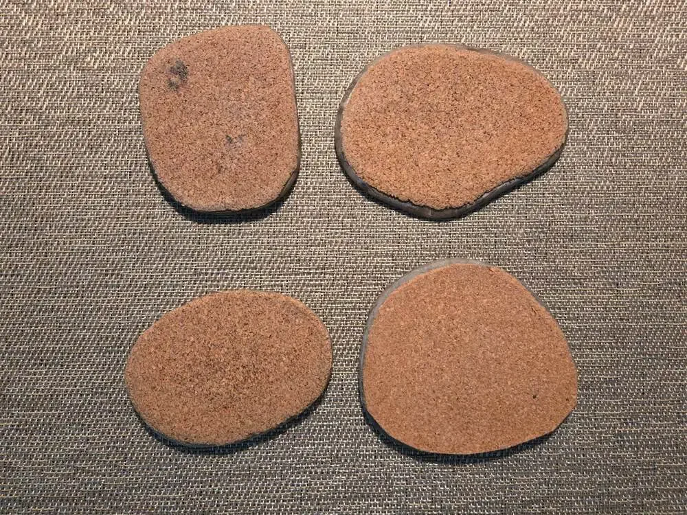 Set of 4 Polished Petoskey Stone Fossil Coral Drink Coasters with Cork Backing